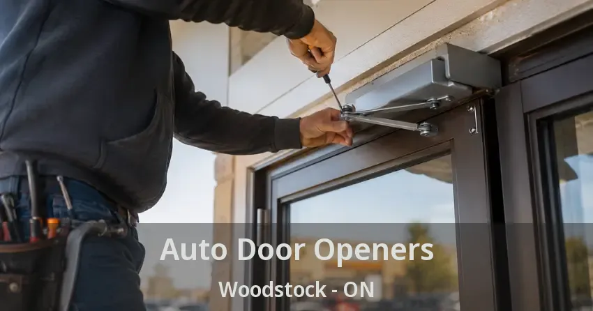 Auto Door Openers Woodstock - ON