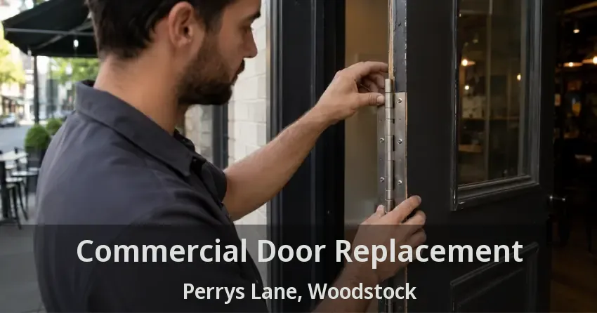 Commercial Door Replacement Perrys Lane, Woodstock - ON