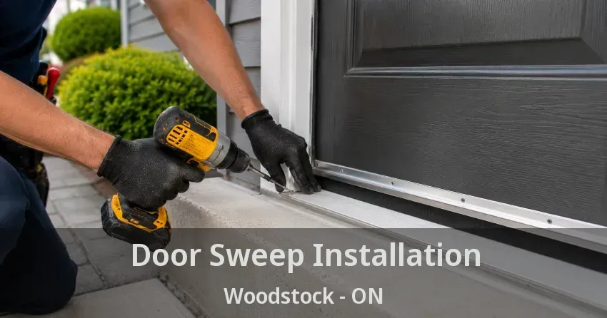 Door Sweep Installation Woodstock - ON