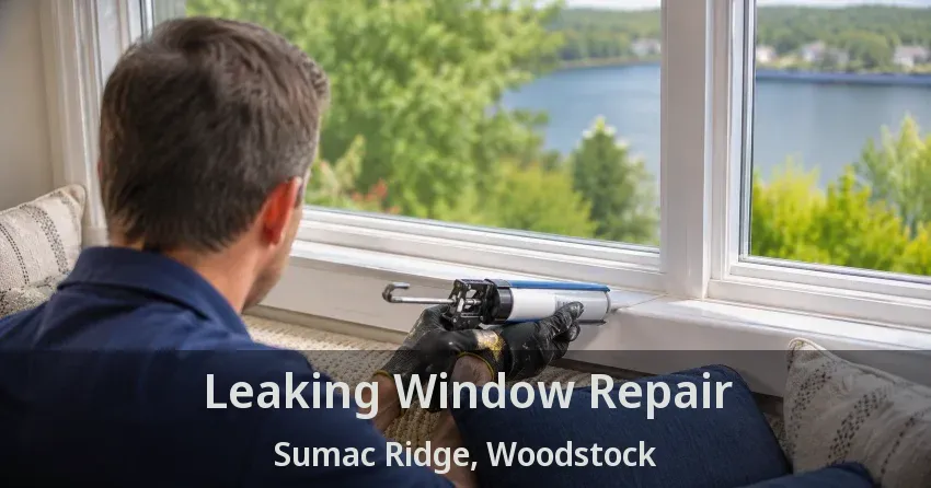 Leaking Window Repair Sumac Ridge, Woodstock - ON