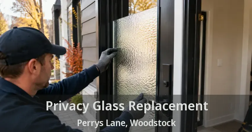 Privacy Glass Replacement Perrys Lane, Woodstock - ON
