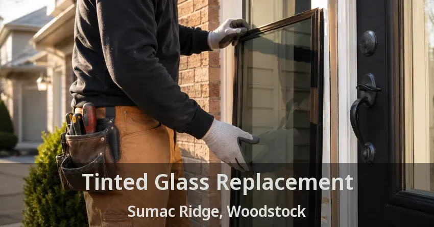 Tinted Glass Replacement Sumac Ridge, Woodstock - ON