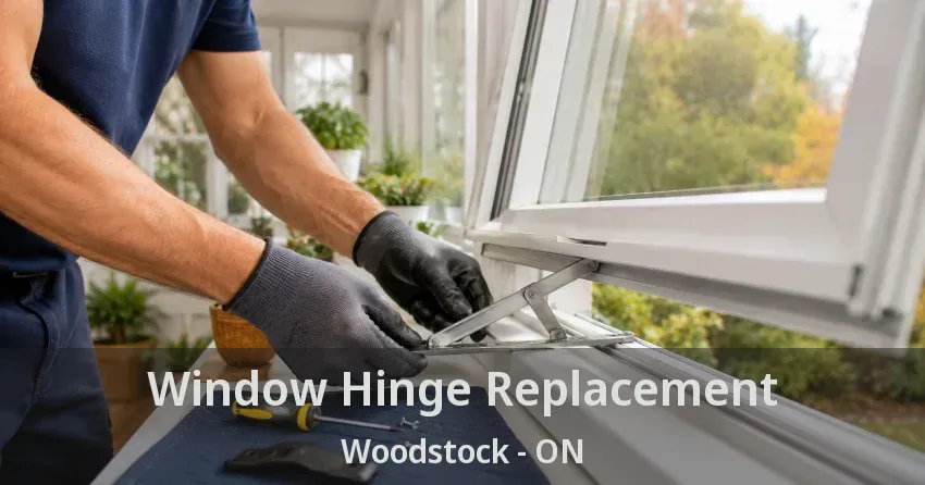 Window Hinge Replacement Woodstock - ON
