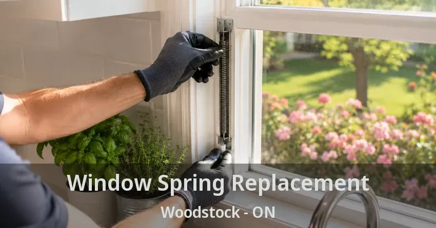 Window Spring Replacement Woodstock - ON